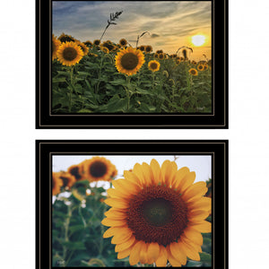Set Of Two Midwest Living Collection 2-Piece 3 Black Framed Print Wall Art
