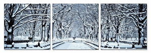 3 Horizontal Winter Trees Photo Canvas Panels Multicolor 24 Inch