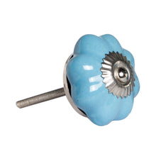 Light Blue and Silver Knobs 12 Pack 1.5