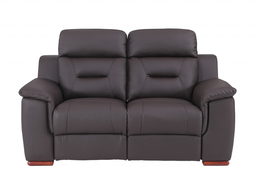Modern Brown Leather Loveseat 67'" x 41'" x 41'"