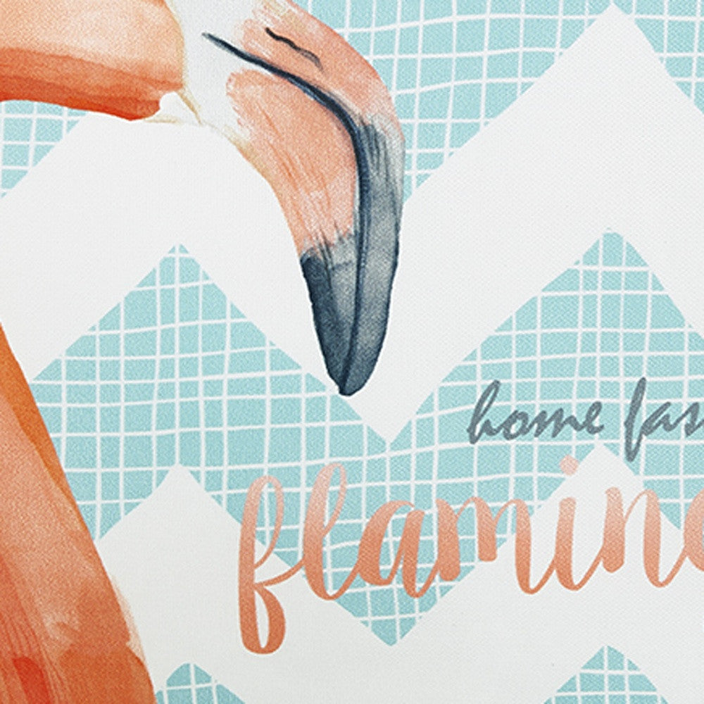 Flamingo And Aqua Chevron Decorative Throw Pillow Cover