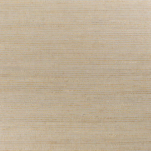 5'X7' Grey Hand Woven Wool And Jute Indoor Area Rug