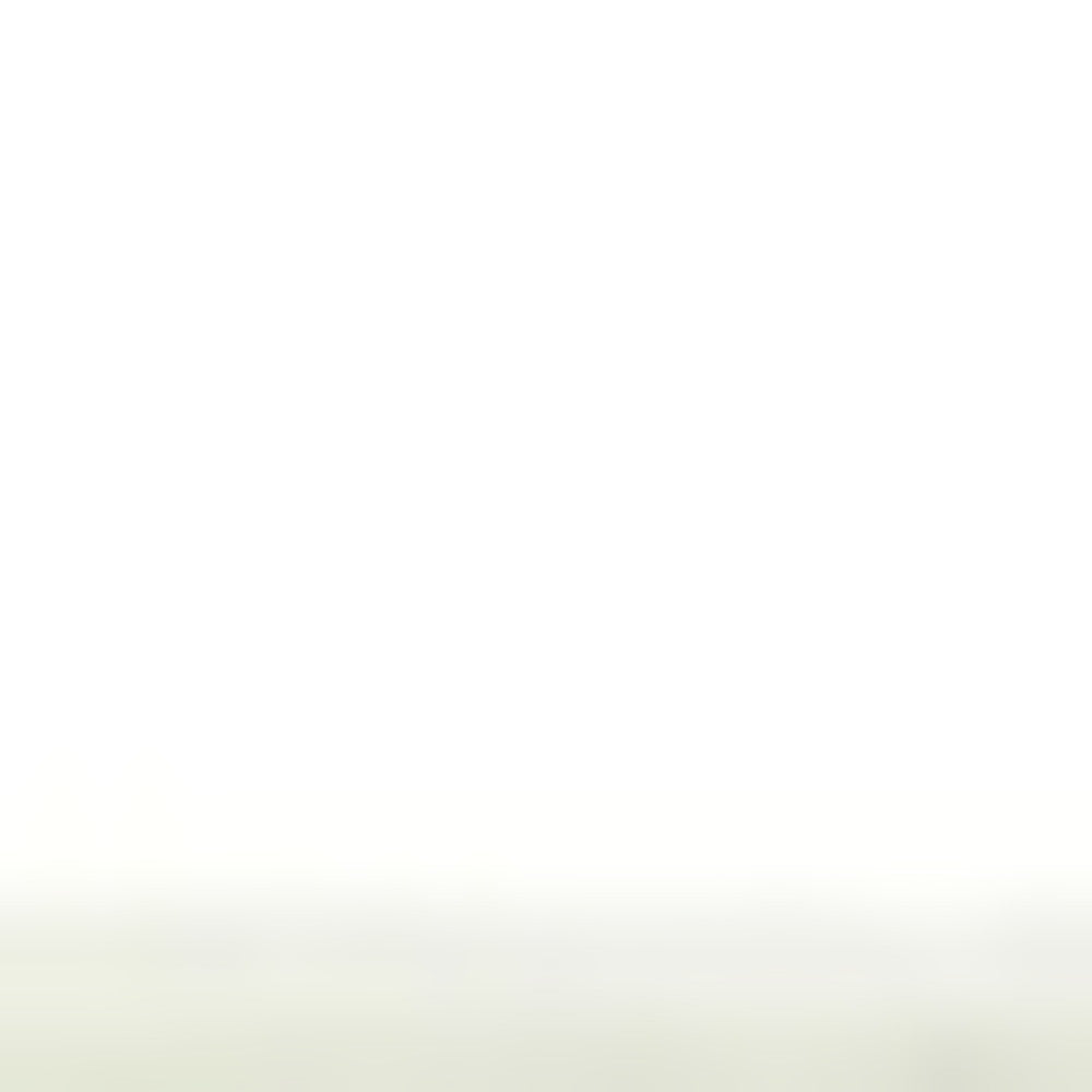 3' X 5' Ivory Floral Vines Area Rug