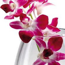 Mouth Blown Crystal European Made Crystal Vase 7”