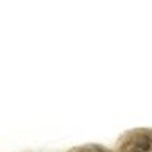 米色和棕色羊毛方形坐墊凳，棉質和毛氈爆米花縫線