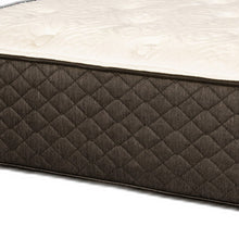 Bridget Twin Xl 11.5