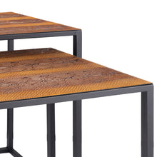Set Of 2 Rectangular Black Powder Coated Frame And Rattlesnake Faux Leather Top Nesting End Tables