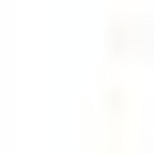 4’ X 6’ Gray And Blue Persian Medallion Area Rug