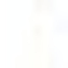 4’ X 6’ Gray And Blue Persian Medallion Area Rug