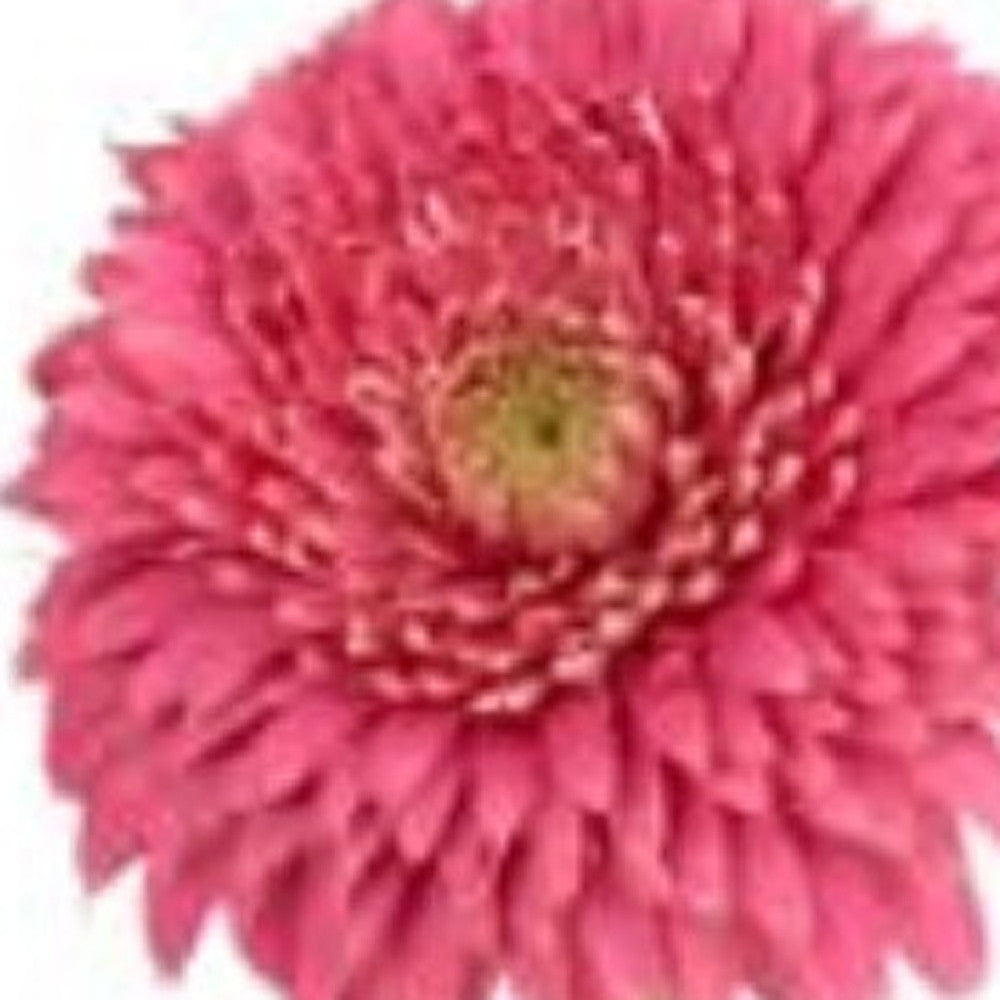 Modern Clear 8 Block Optical Crystal Vase