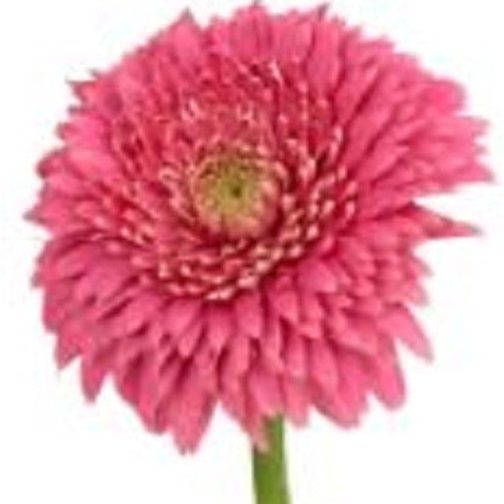 Modern Clear 8 Block Optical Crystal Vase