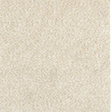 3’ X 5’ Modern Shag Ivory Indoor Area Rug