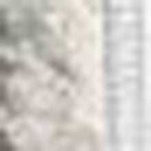 2’ X 4’ Gray Distressed Medallion Area Rug