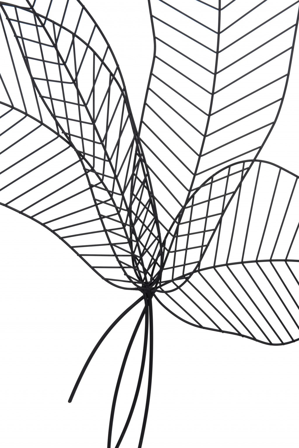 Matte Black Boho Chic Palm Leaf Wall Art