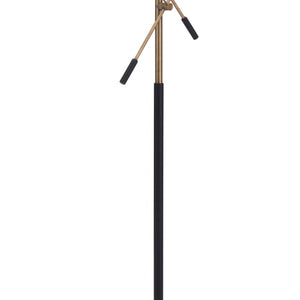 Black and Gold Adjustable Floor Lamp