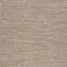 5’ x 8’ Tan and White Braid Border Area Rug