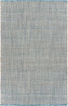 8’ x 10’ Blue and Beige Toned Area Rug