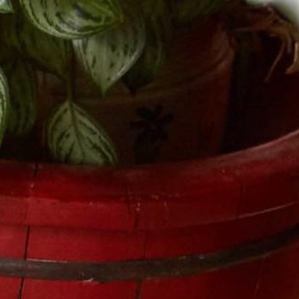 5’ x 8’ Tan and Ivory Grid Area Rug