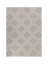 5’ x 7’ Tan and Beige Southwestern Area Rug