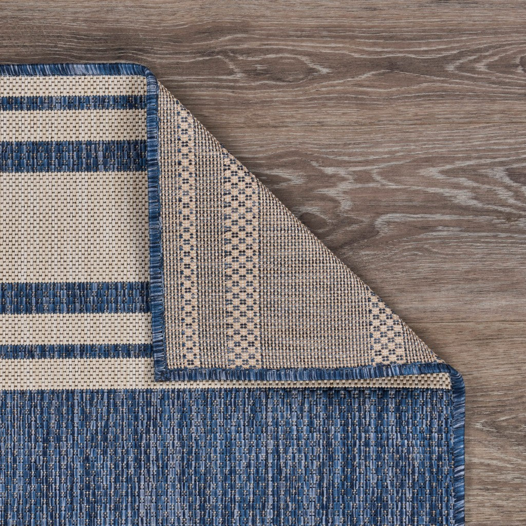 8? X 10? Blue/White Indoor Outdoor Area Rug