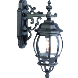 Matte Black Hanging Glass Globe Wall Light