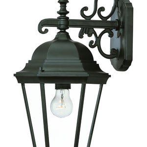Matte Black Domed Glass Hanging Lantern Wall Light