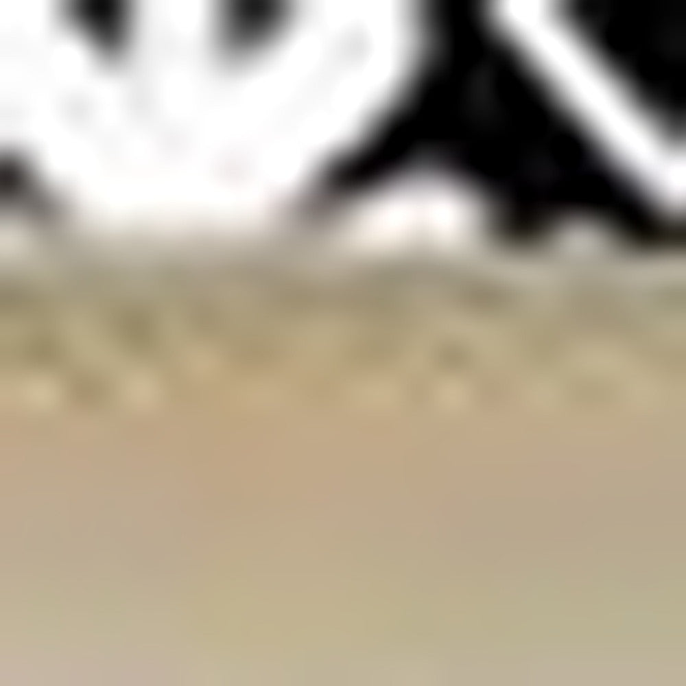 4" X 4" Black and White Floral Peel and Stick Removable Tiles