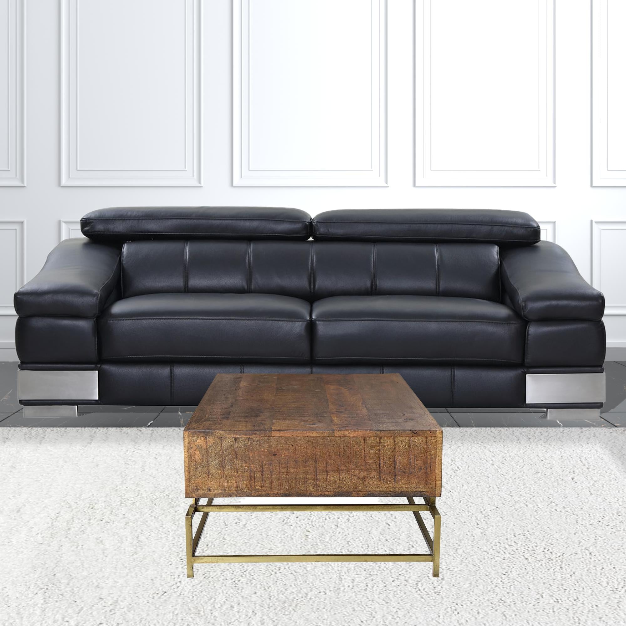 Brown and Gold Storage Coffee Table
