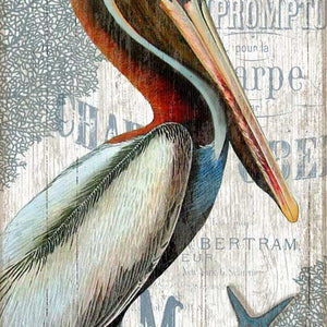 Colorful Pelican XL Wall Décor