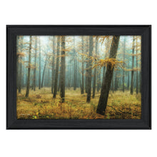 Holterberg In The Mist Black Framed Print Wall Art