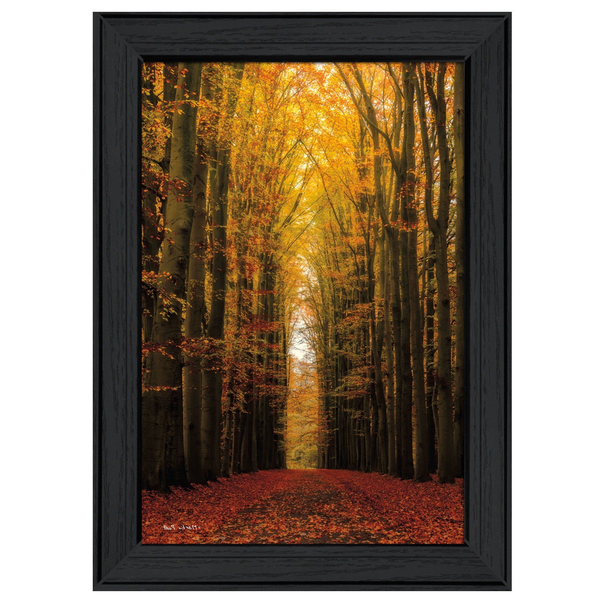 Highway To Heaven Black Framed Print Wall Art