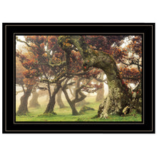 Fanal Martin Podt Ready To Hang Framed Print Black Frame Black Framed Print Wall Art
