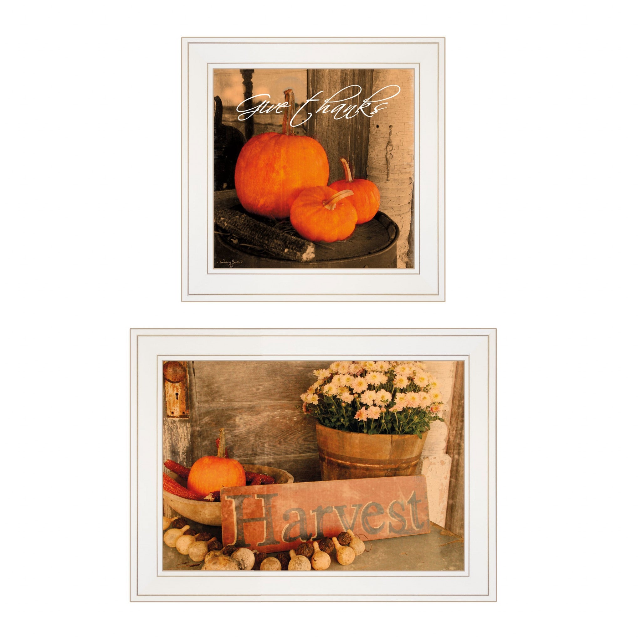 Set Of Two Autumn Harvest 1 White Framed Print Wall Art