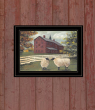 Hancock Sheep 3 Black Framed Print Wall Art