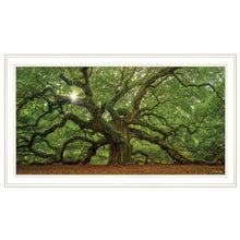 Mighty Moss Laden Tree White Framed Print Wall Art