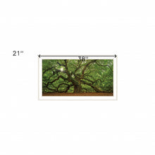 Mighty Moss Laden Tree White Framed Print Wall Art