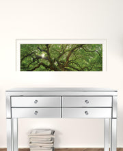 Mighty Moss Laden Tree White Framed Print Wall Art