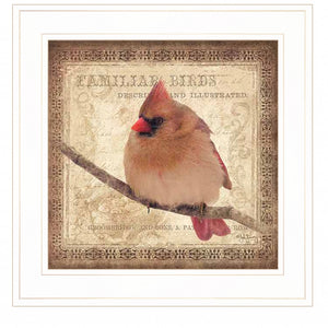 Female Cardinal 1 White Framed Print Wall Art