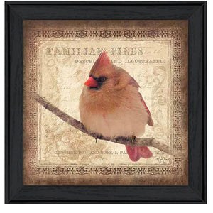 Female Cardinal 2 Black Framed Print Wall Art