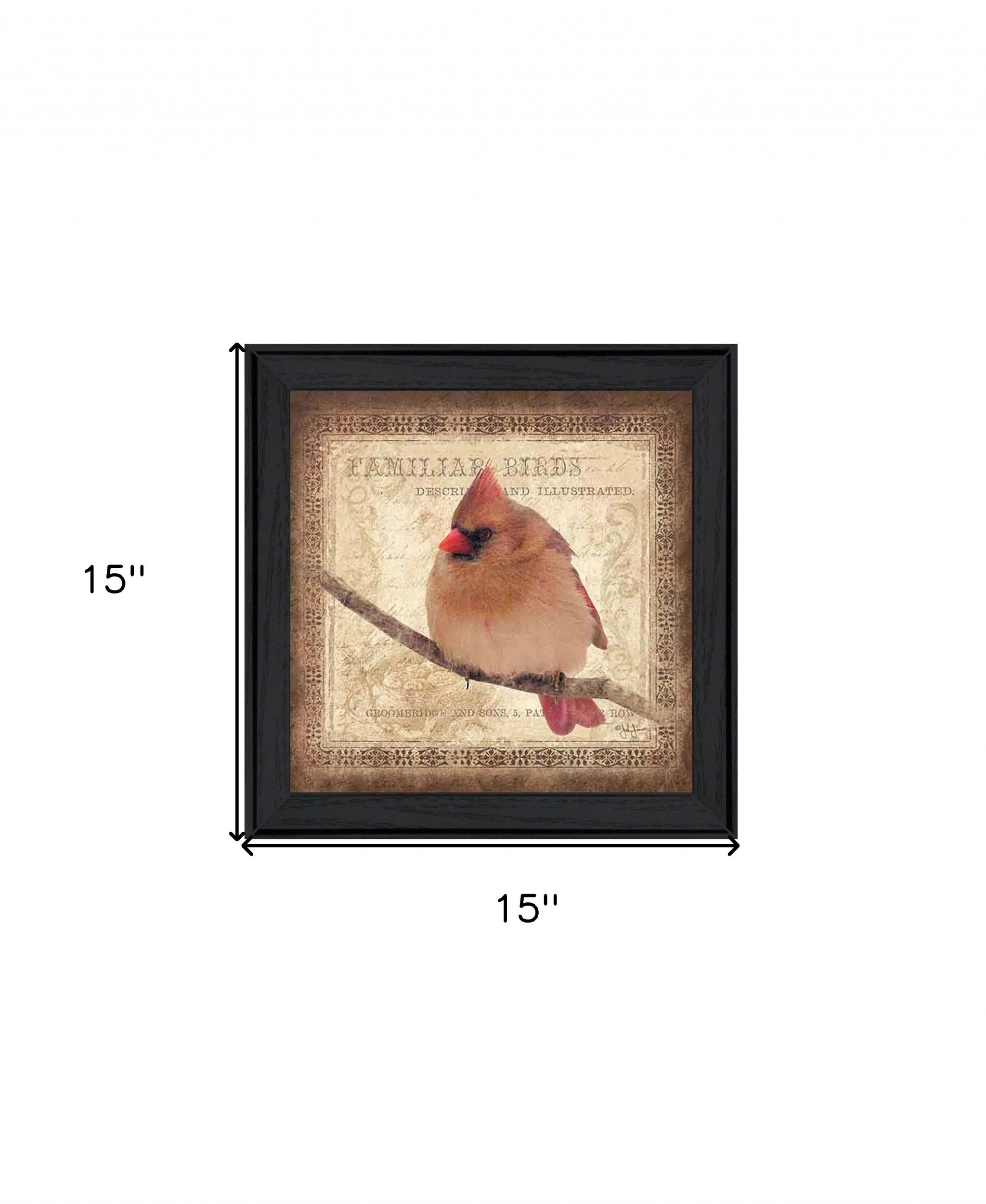 Female Cardinal 2 Black Framed Print Wall Art