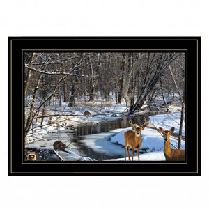 Great Outdoors Nature 2 Black Framed Print Wall Art