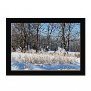 Natures Simple Blessings 3 Black Framed Print Wall Art
