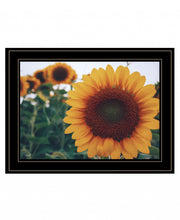 Midwest Livin II 4 Black Framed Print Wall Art