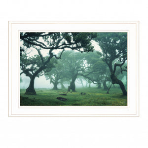 Enchanted Forest II 2 White Framed Print Wall Art