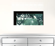 Enchanted Forest II 4 Black Framed Print Wall Art