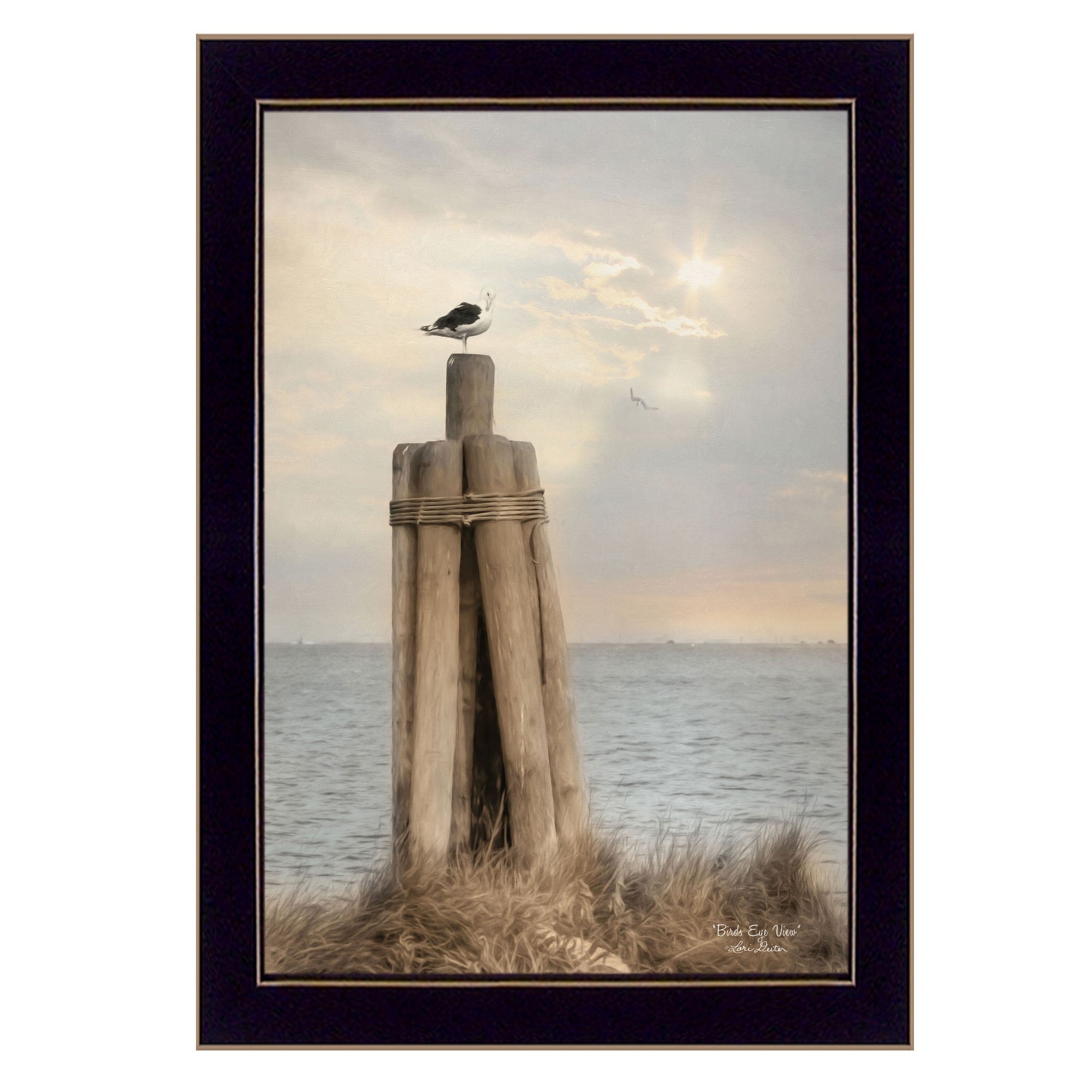 Birds Eye View 1 Black Framed Print Wall Art