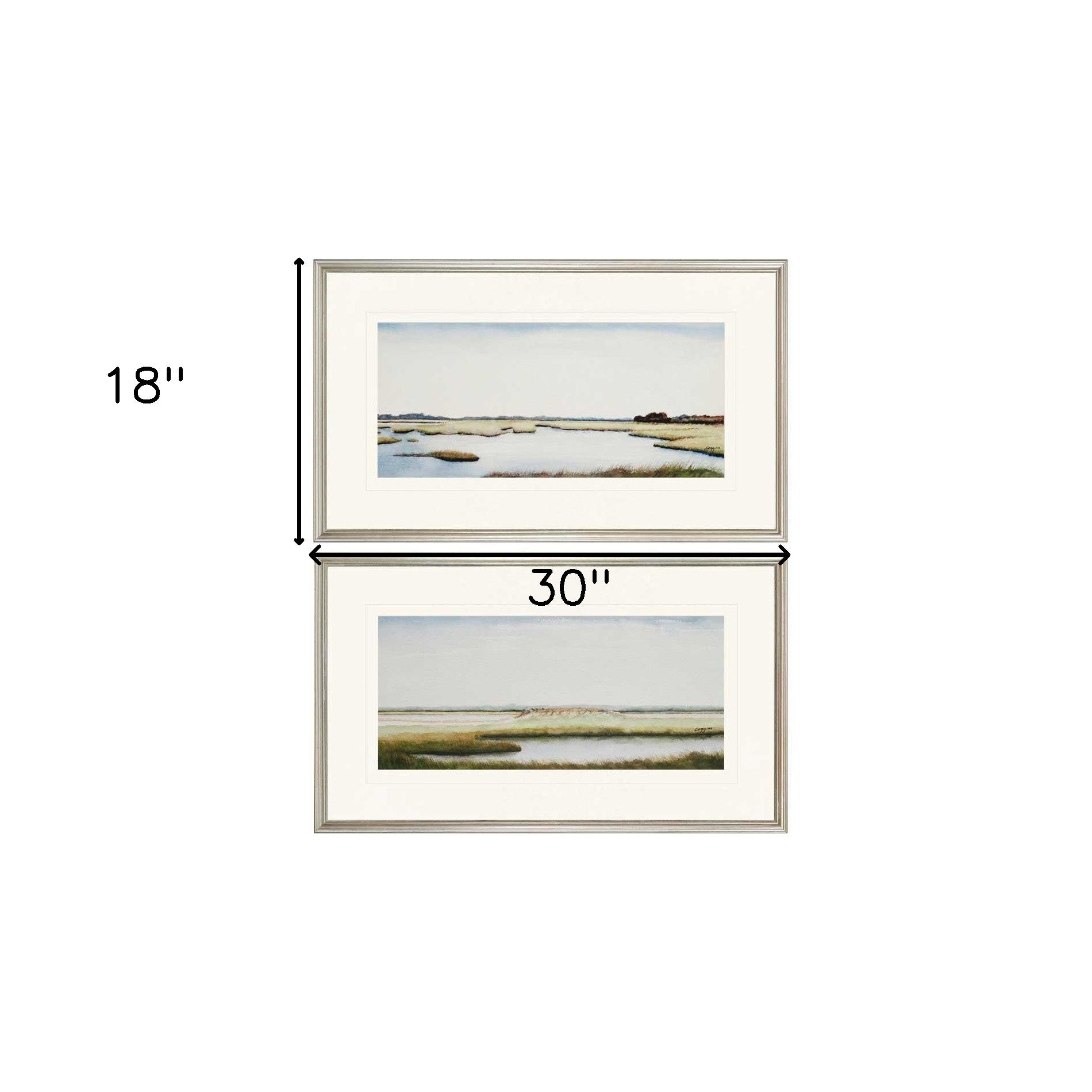 Set Of Two Marshlands I Silver Print Wall Art