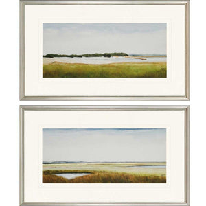 Set Of Two Marshlands Ii Set Of 2 Framed Art Silver Picture Frame Print Wall Art
