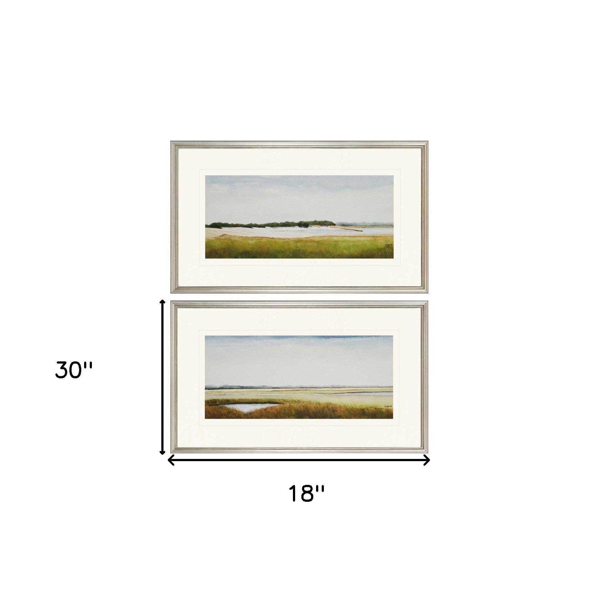Set Of Two Marshlands Ii Set Of 2 Framed Art Silver Picture Frame Print Wall Art