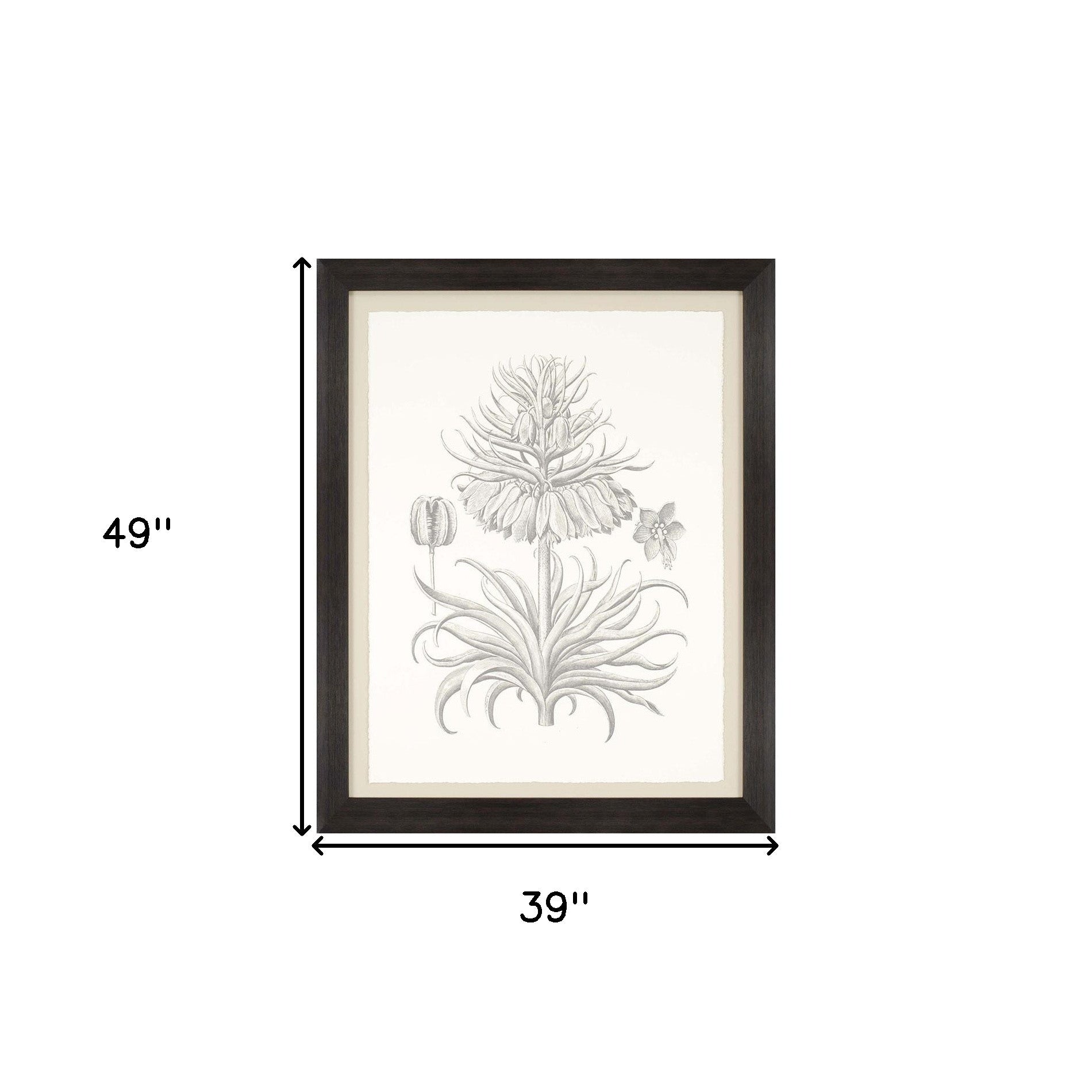 Sepia Corona Botanical Brown Frame Print Living Room Wall Art